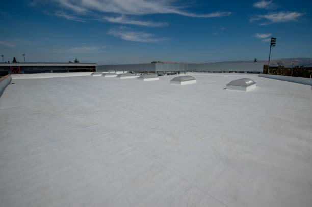 Best Skylight Installation and Repair  in Norway, MI