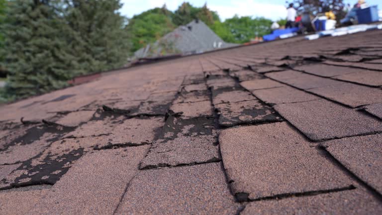 Best Storm Damage Roof Repair  in Norway, MI